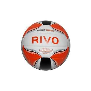 Delta Rivo Voleybol Topu