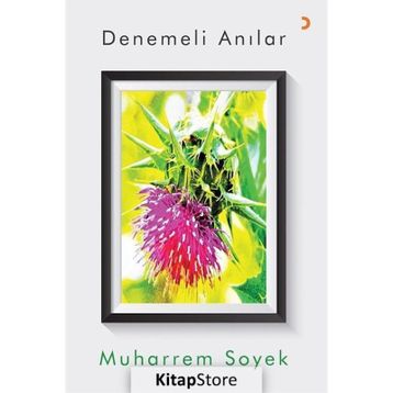 Denemeli Anılar - Muharrem Soyek