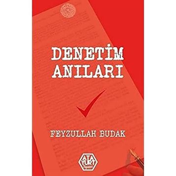 Denetim Anıları - Feyzullah Budak