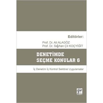 Denetimde Seçme Konular 6 - Ali Alagöz Seyhan Çil Koçyiğit