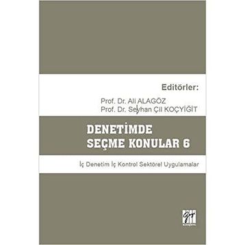 Denetimde Seçme Konular 6 - Ali Alagöz Seyhan Çil Koçyiğit