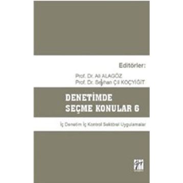 Denetimde Seçme Konular 6 - Ali Alagöz Seyhan Çil Koçyiğit