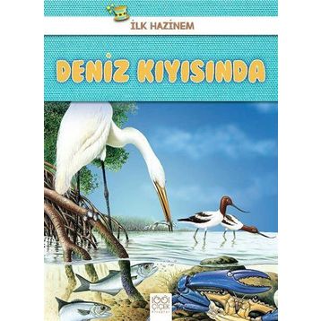 Deniz Kıyısında-İlk Hazinem - Denise Ryan