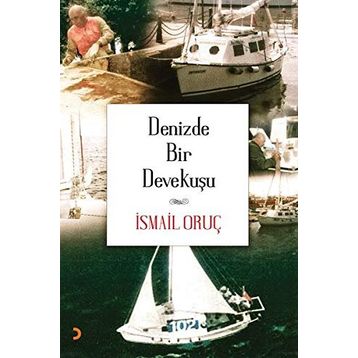 Denizde Bir Devekuşu - İsmail Oruç
