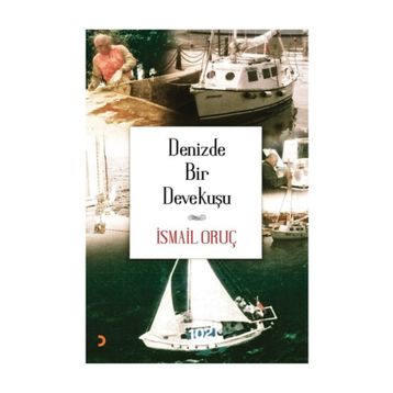 Denizde Bir Devekuşu - İsmail Oruç