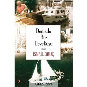 Denizde Bir Devekuşu - İsmail Oruç
