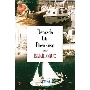 Denizde Bir Devekuşu - İsmail Oruç
