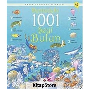 DENIZDEKI 1001 ŞEYI BULUN - KATIE DAYNES