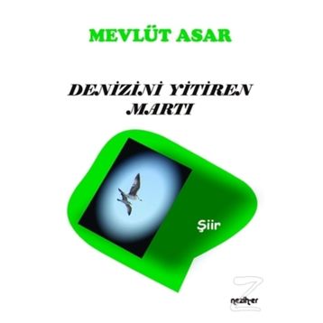 Denizini Yitiren Martı - Mevlüt Asar