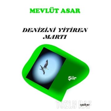 Denizini Yitiren Martı - Mevlüt Asar