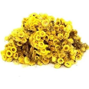 Derya Eren 250 gr Altın Otu