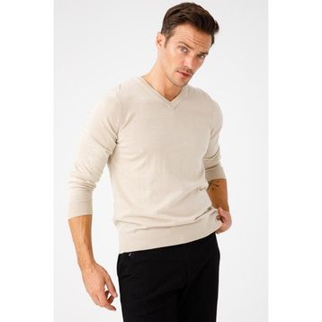 Desen Triko 21602 Basic V Yaka İnce Triko Bej Erkek Kazak