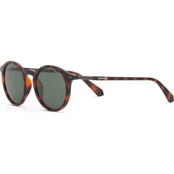 Despada DS 2386 C3 Oval Havana Asetat Kahverengi Unisex Güneş Gözlüğü