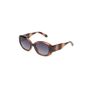 Despada DS2297 C2 Oval Havana Kahve Kadın Güneş Gözlüğü