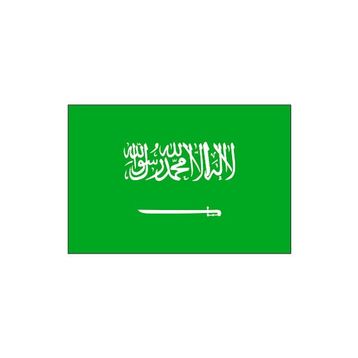 Destan Bayrak 70x105 cm Suudi Arabistan Bayrağı
