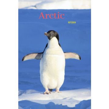 Deuter Tommy Arctic Çapraz Çanta