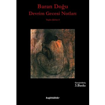 Devrim Gecesi Notları - Baran Doğu