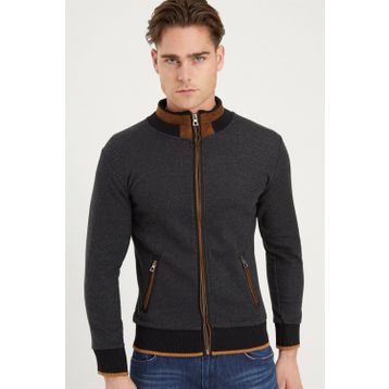 Dewberry 115000101021 Antrasit Erkek Sweatshirt