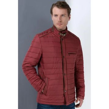 Dewberry M8610 Bordo Erkek Mont