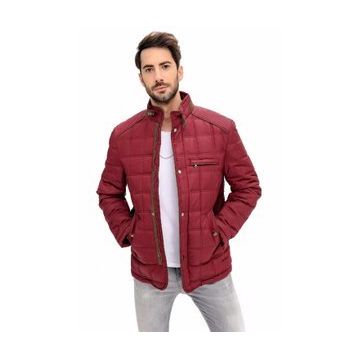 Dewberry M8640 Bordo Erkek Mont