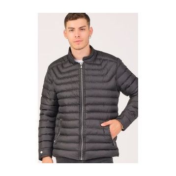 Dewberry M8653 Siyah Erkek Mont