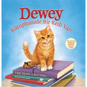 DEWEY KÜTÜPHANEDE BIR KEDI VAR! - BRET WITTER, VICKI MYRON