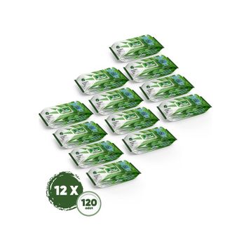 Dex 120'li Aloe Vera Islak Havlu
