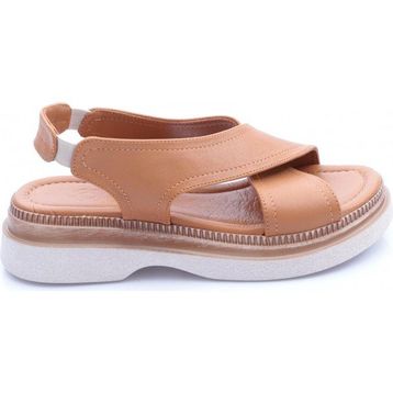 DGN 61-19 Taba Kadın Sandalet