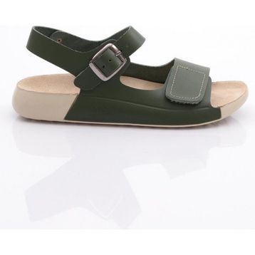DGN P28 Haki KadIn Çift BantlI Sandalet