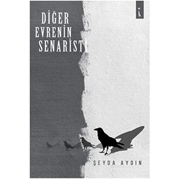 Diğer Evrenin Senaristi - Şeyda Aydın