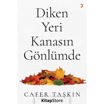 Diken Yeri Kanasın Gönlümde - Cafer Taşkın