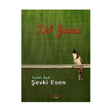 Dil Yaresi - Şevki Esen