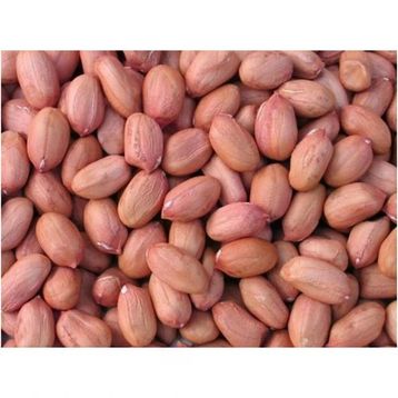 Dilek Kuruyemiş 1 kg Osmaniye Çiğ Fıstık İçi Duble