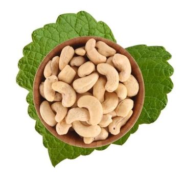 Dilek Kuruyemiş 500 gr Çiğ Kaju