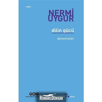 DILIN GÜCÜ DENEMELER - NERMI UYGUR