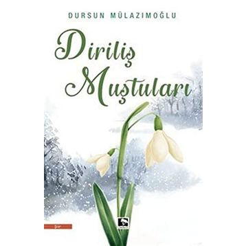 Diriliş Muştuları - Dursun Mülazımoğlu