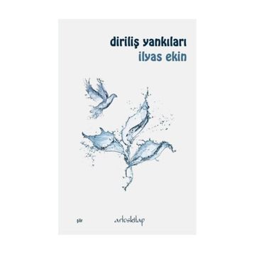 Diriliş Yankıları - İlyas Ekin