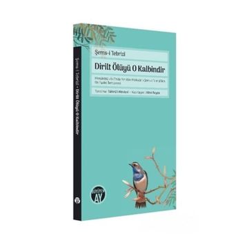 Dirilt Ölüyü O Kalbindir - Şems-i Tebrizi