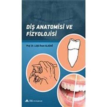 Diş Anatomisi ve Fizyolojisi - Anadolu Nobel Tıp Kitabevi