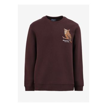 Discovery Expedition D4WM-SWT3078 Kahve Bisiklet Relaxed Nakışlı Erkek Sweatshirt