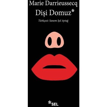 Dişi Domuz Marie Darrieussecq