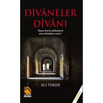 Divaneler Divanı - Ali Toker