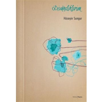Divaneliklerim - Hüseyin Sungur