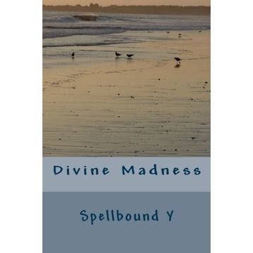 Divine Madness - Robert Muchamore