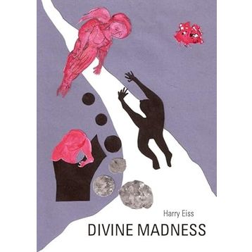 Divine Madness - Robert Muchamore