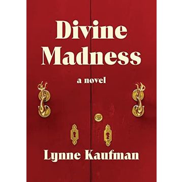 Divine Madness - Robert Muchamore