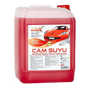 Divortex 5 lt Şampuanlı Yazlık Cam Suyu