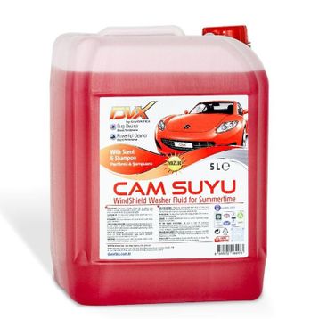 Divortex 5 lt Şampuanlı Yazlık Cam Suyu