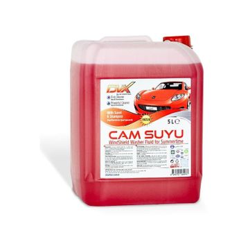 Divortex 5 lt Şampuanlı Yazlık Cam Suyu