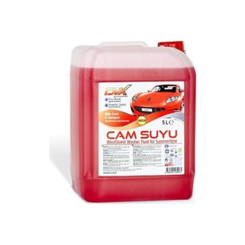 Divortex 5 lt Şampuanlı Yazlık Cam Suyu